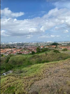 mystic valley, Jose Domingo Espinar