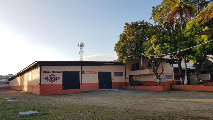 , Terreno en alquiler en Pedregal | P4134704