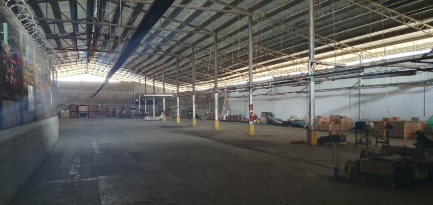 , Terreno en alquiler en Pedregal | P4134704