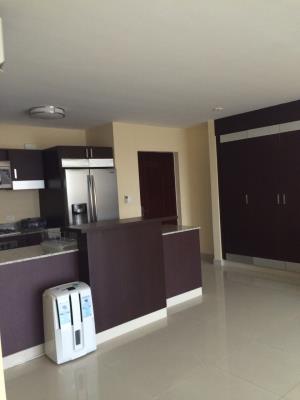 , Área Metropolitana