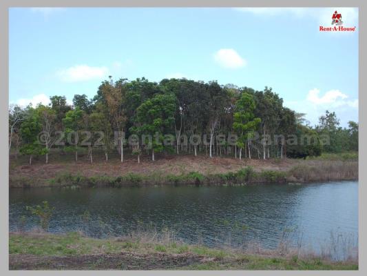 , Terreno en venta en Chepo | P4145603