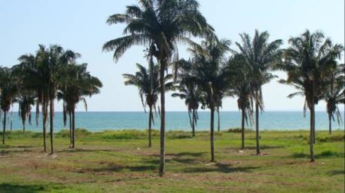 , Terreno en venta en Puerto Armuelles | P4153569