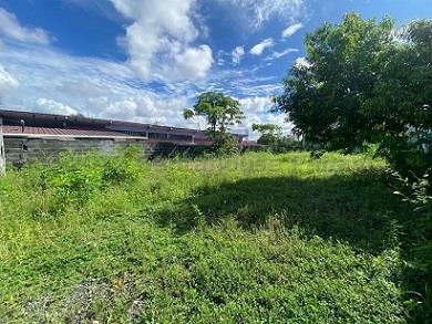 , Terreno en venta en Parque Lefevre | P4154311