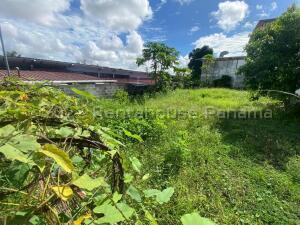 , Terreno en venta en Parque Lefevre | P4154325