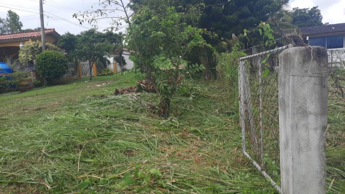 , Terreno en alquiler en Nueva Gorgona | P4164587