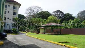 , Las Margaritas de Chepo