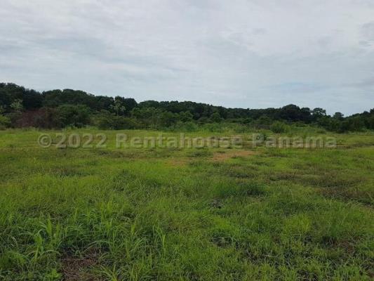 , Terreno en venta en Tocumen | P4180834