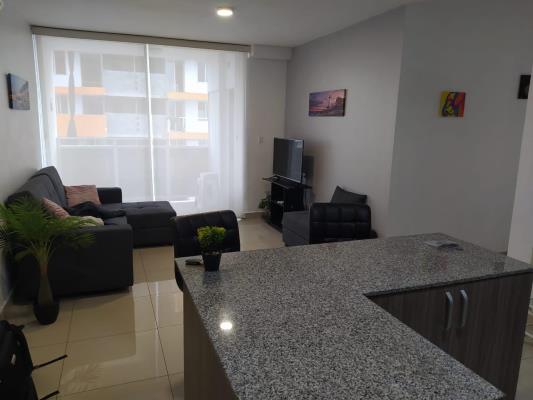 Red Point, San Francisco