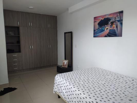 Red Point, San Francisco