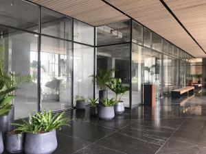 , Área Metropolitana