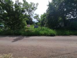 Barrio Colón La Chorrera
