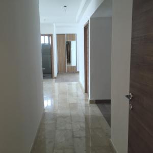 Dynasty, Bella Vista