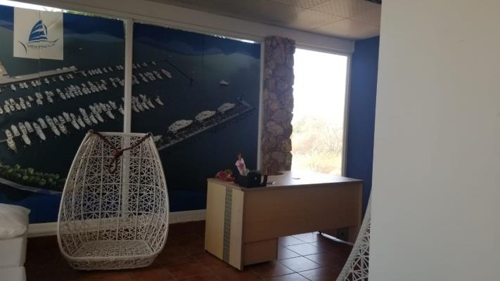 , San Carlos