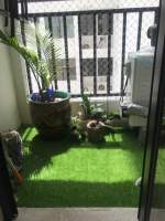 Coral Reef Avenida Balboa, Panamá