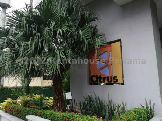 Citrus, Panamá