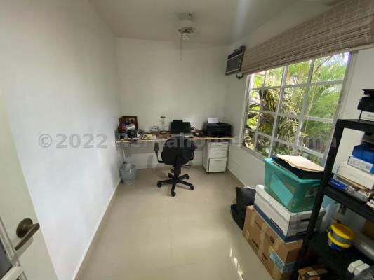 , Amelia Denis De Icaza