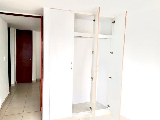 Central Park, Área Metropolitana