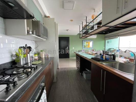 Citrus, San Francisco