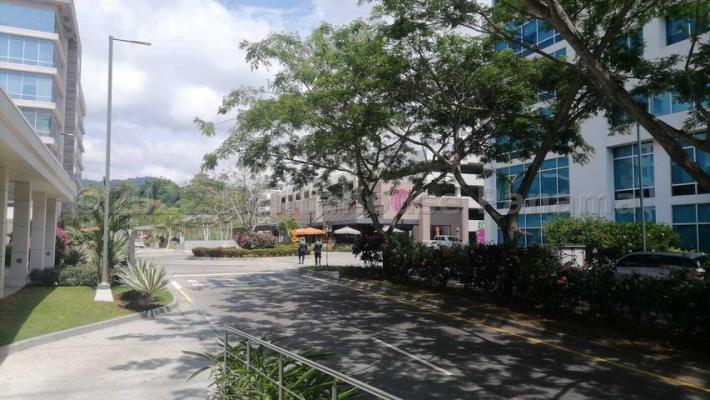 , Apartamento en alquiler en Panamá Pacífico | P4230331