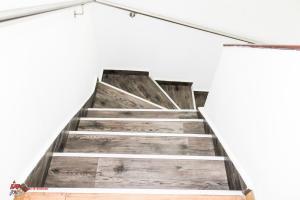 , Área Metropolitana