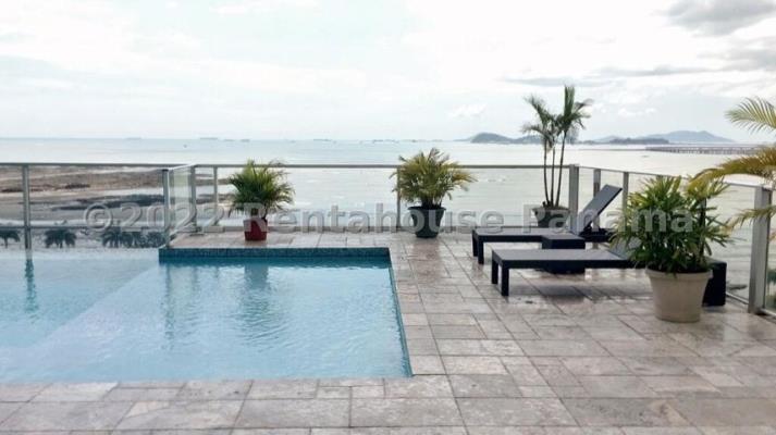 Waters on the bay, Área Metropolitana