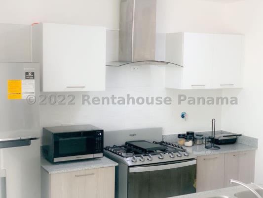 Metropolitan Park, Parque Lefevre