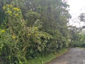 , Terreno en venta en El Chiru | P4263042