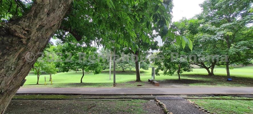 Arboleda, Área Metropolitana