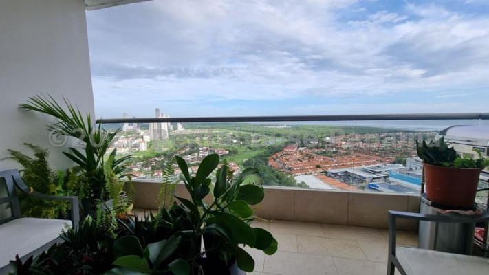 Greenview, Área Metropolitana