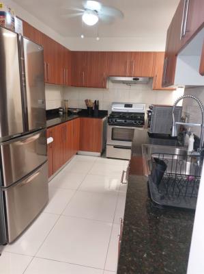 Diana Tower, Área Metropolitana