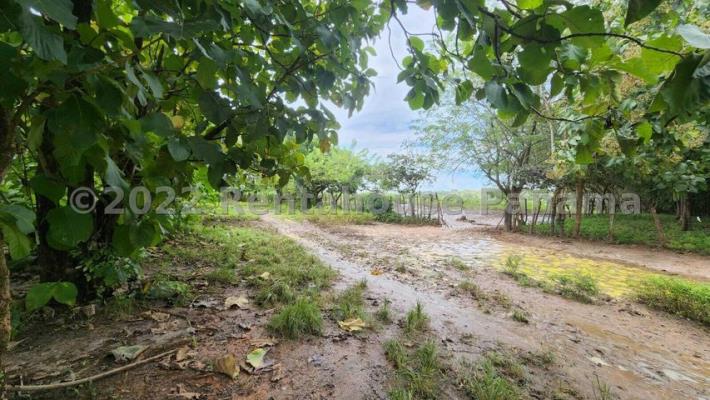 , Terreno en venta en Rio Hato | P4283769