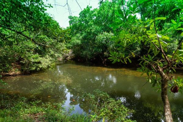 , Terreno en venta en Penonome | P4285309