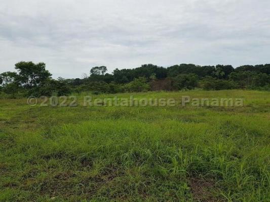 , Terreno en alquiler en Tocumen | P4287556