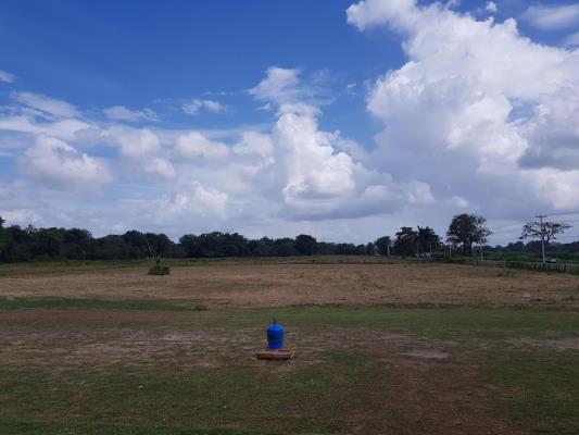 , Terreno en alquiler en Tocumen | P4297755