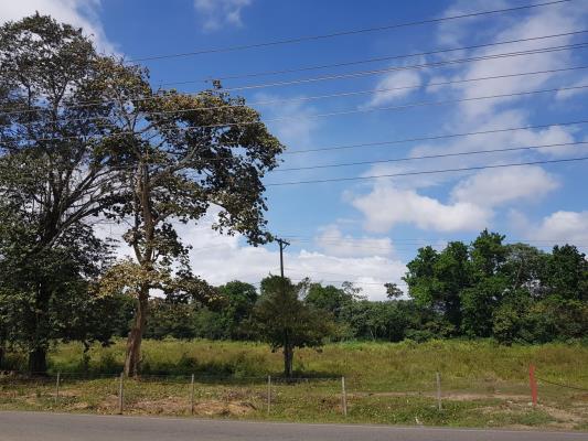 , Terreno en alquiler en Tocumen | P4297755