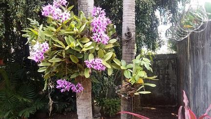 , Casa en venta en San Francisco | P4314625