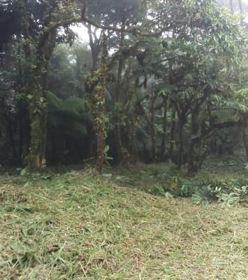 , Terreno en venta en Sorá | P2532250