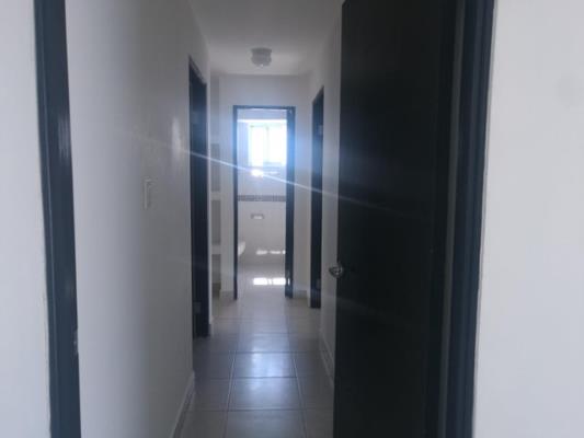 , Apartamento en alquiler en Betania | P4354378