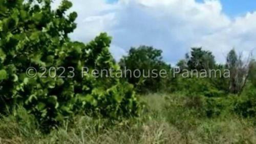, Terreno en venta en Punta Chame | P4363590