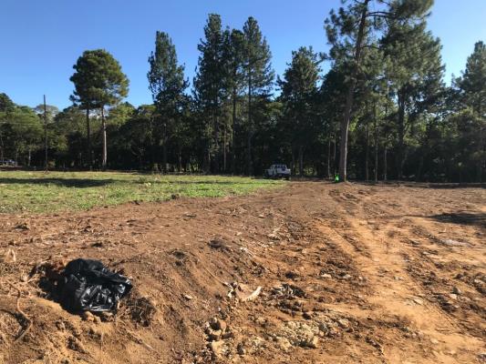 , Terreno en venta en Potrerillos Abajo | P4371787