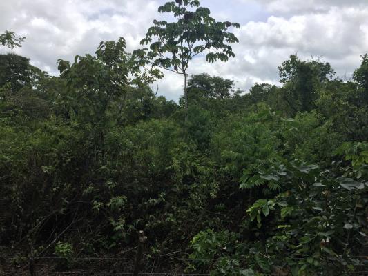 , Terreno en alquiler en Caldera | P4371794