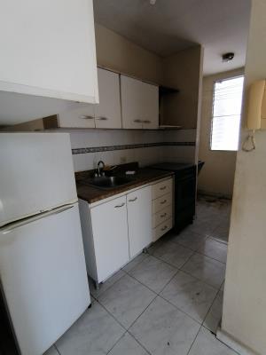 las orquideas, Panamá