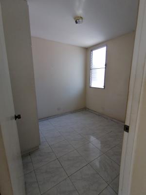 las orquideas, Panamá