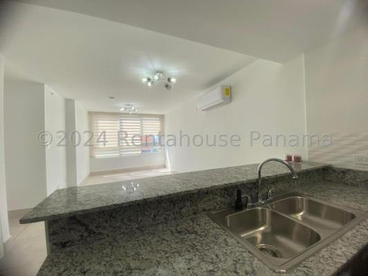 , Amelia Denis De Icaza