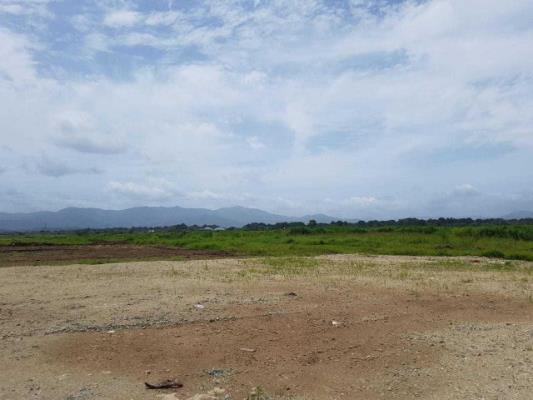 , Terreno en alquiler en Tocumen | P4387691