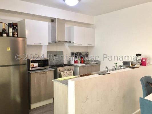 Metropolitan Park, Parque Lefevre