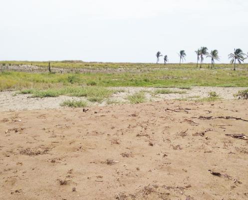 , Terreno en venta en Pocrí | P4404218