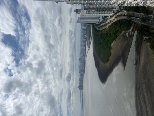 Pearl at the Sea, Costa del Este