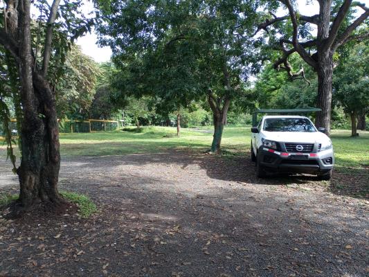 , Terreno en venta en Pueblo Nuevo | P4406262