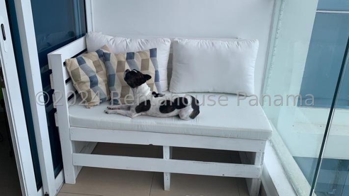 , Área Metropolitana